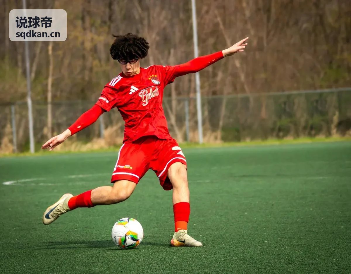 说球帝实时数据仪表盘